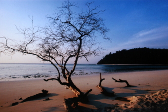 ทัวร์ตะรุเตา หลีเป๊ะ